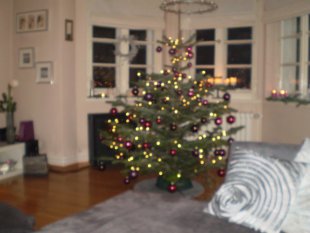 Weihnachtsbaum 2008