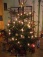Weihnachtsbaum beleuchtet