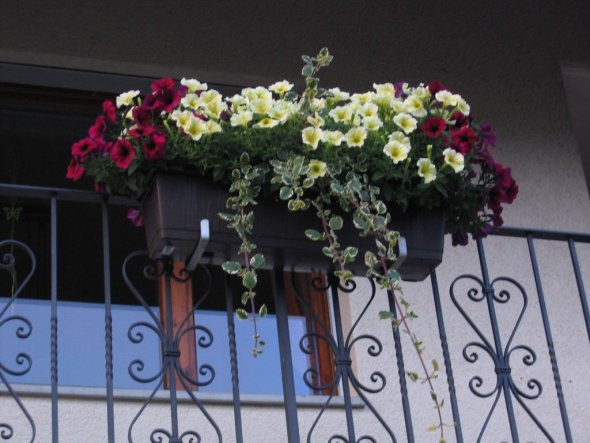 Terrasse / Balkon 'unser Balkon'