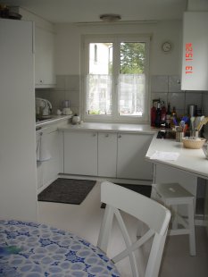 Skandinavisch 'Wohn.-Esszimmer mit offener Küche'
