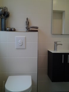 Klassisch 'Gäste-WC mit Dusche'